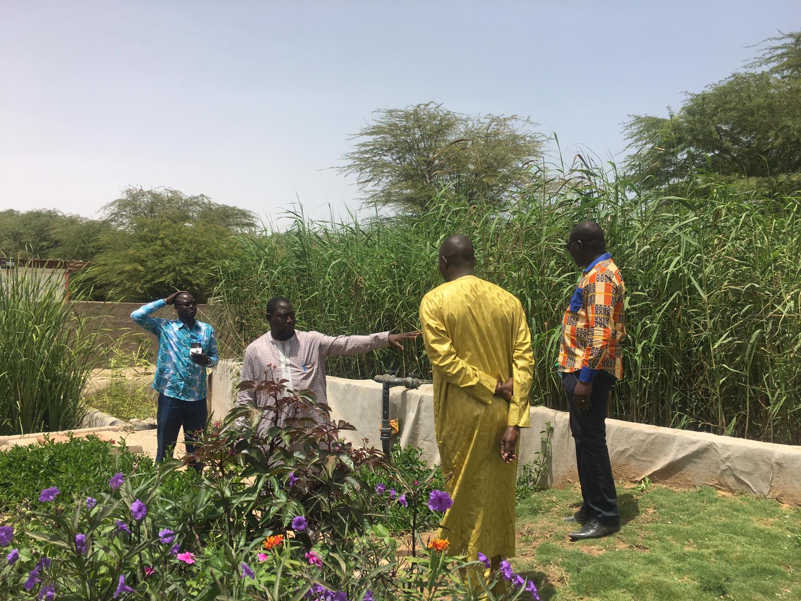 Enfortiment de les capacitats en l'àmbit dels drets a l’aigua i el sanejament a Saint Louis (Senegal)