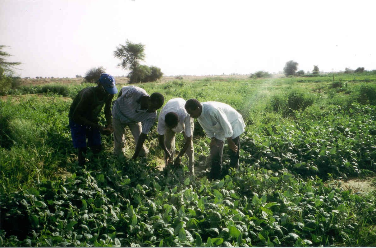 mauritania-desarrollo-sostenible