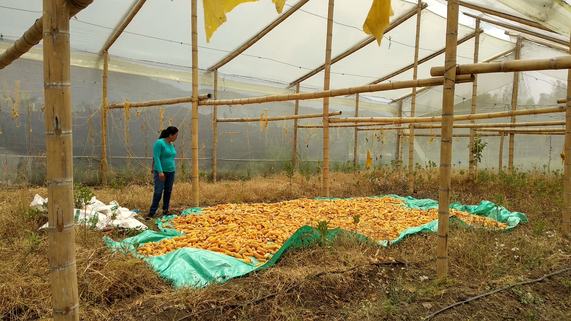 Fundació Solidaritat Universitat de Barcelona