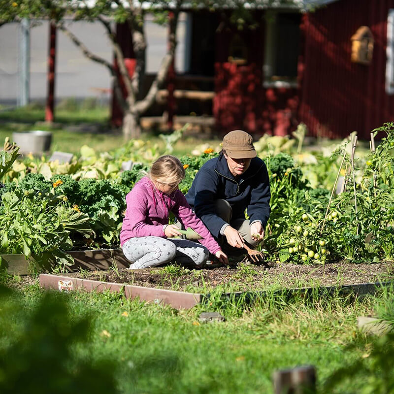 Fundació Solidaritat UB