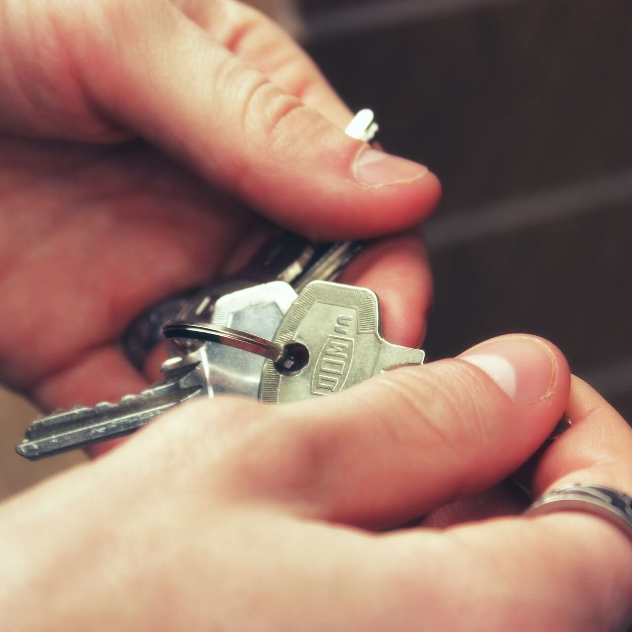 Donem suport a joves nouvinguts en la cerca d’habitació